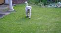Frodo_28