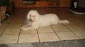 Frodo_34