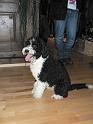 Familientreffen_52