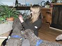 Familientreffen_60